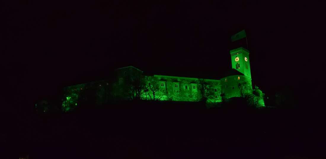 Château de Ljubljana de nuit