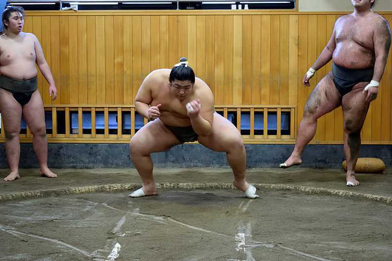 Entraînement sumo à Ryogoku