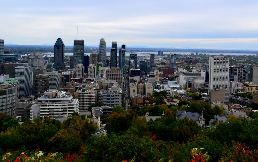 Parc Mont Royal Montréal