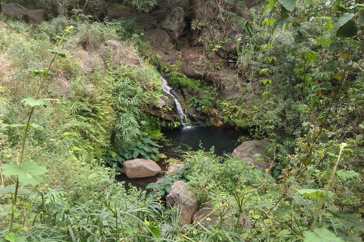 petite cascade ile réunion