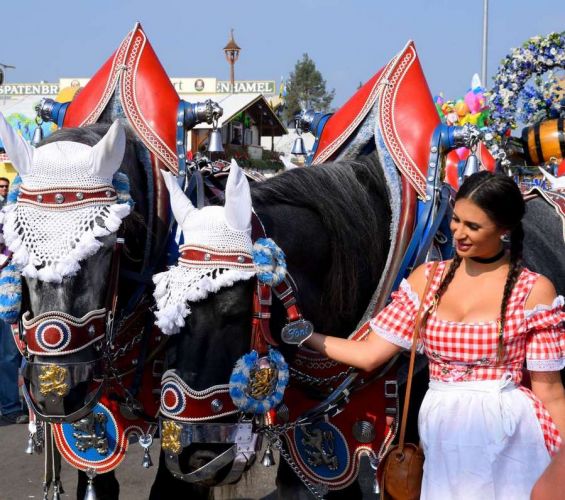 chevaux-oktoberfest