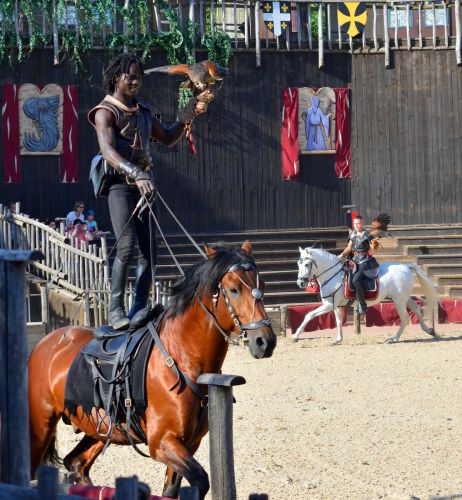 spectacle-rapaces-zoo-amneville