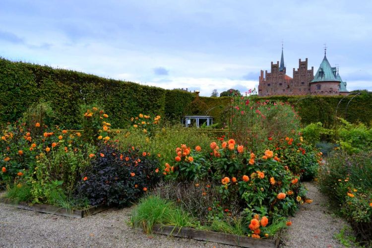 fleurs-jardin-chateau