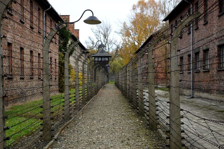 barbeles-camp-auschwitz