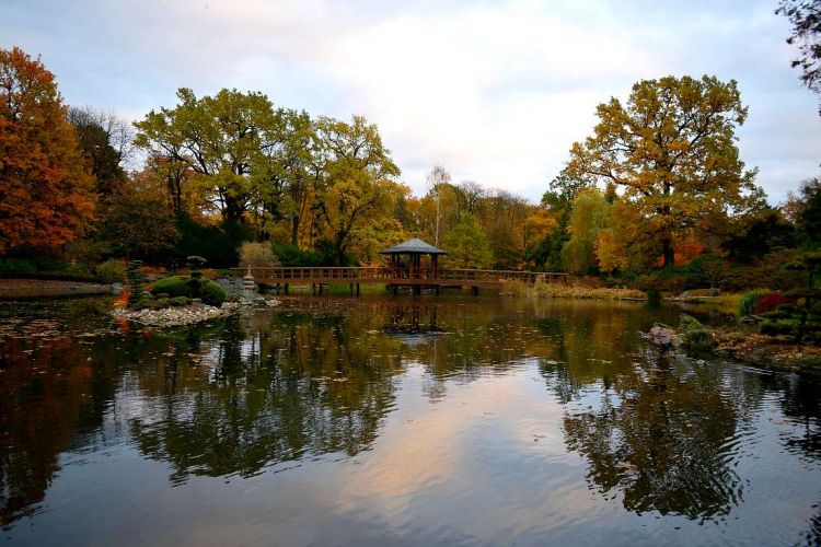 jardin-japonais-wroclaw