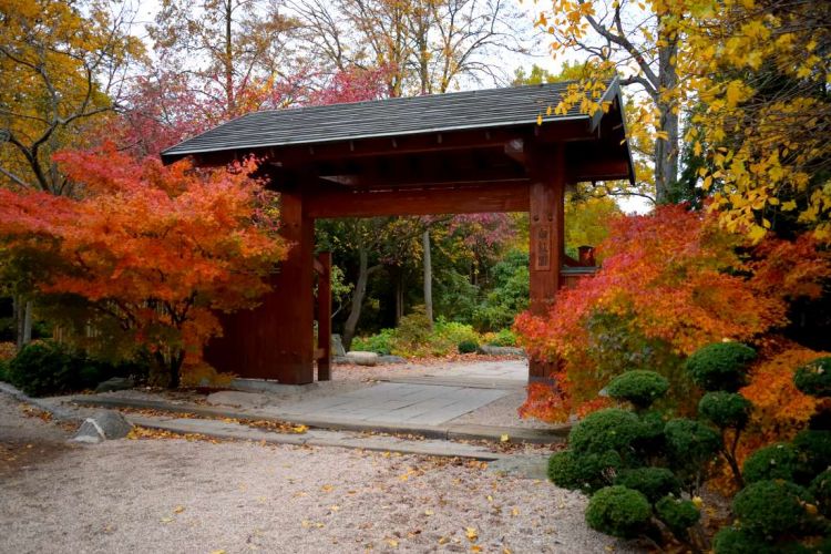 jardin-japonais