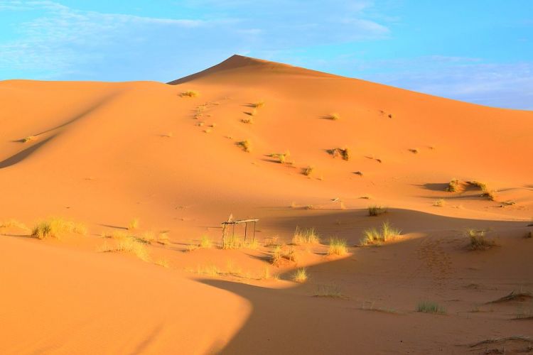 desert merzouga