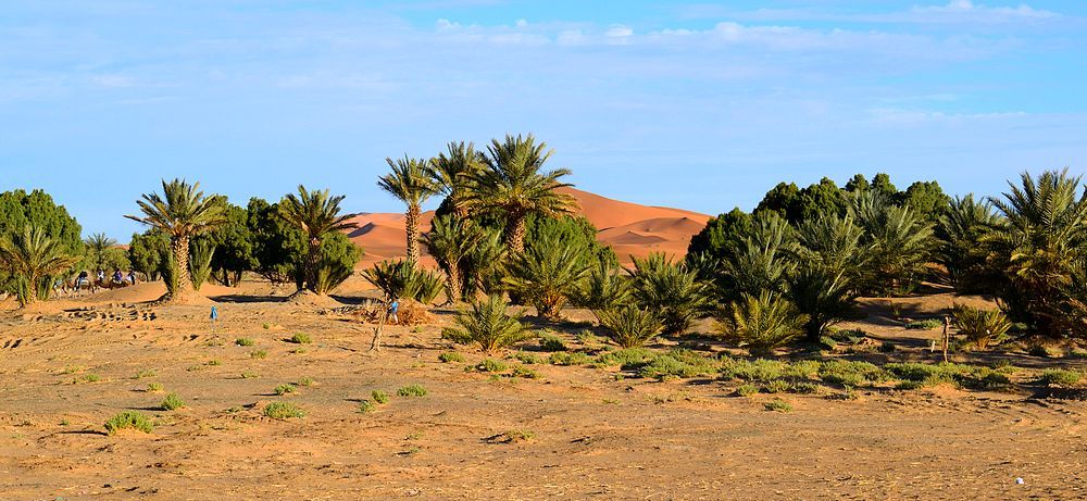 merzouga