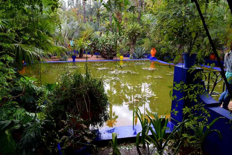 jardin majorelle marrakech