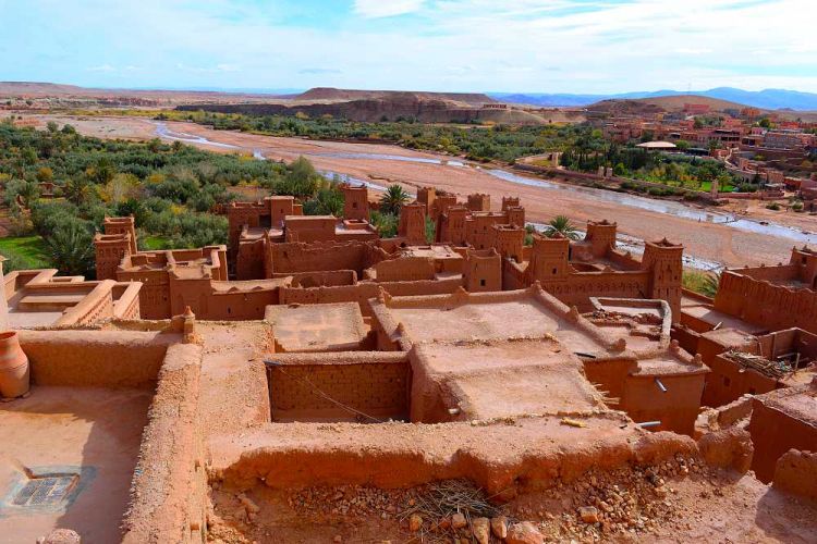 panoramique oasis