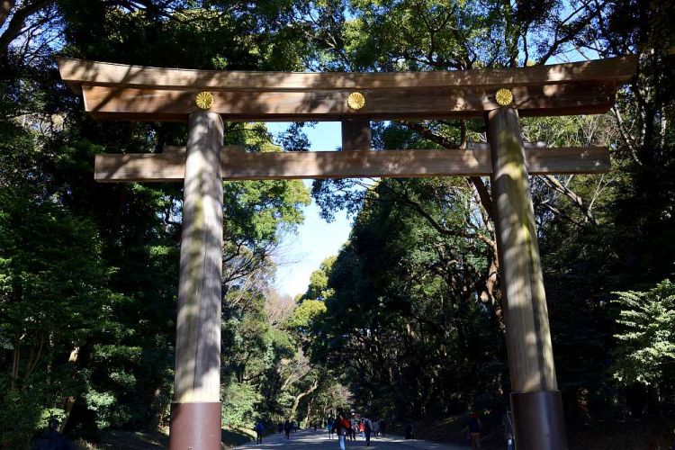 torii Meiji-jingu