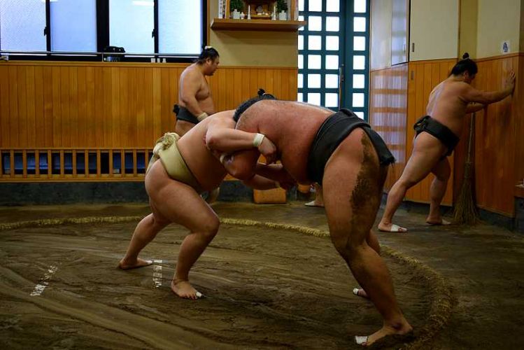 combat de sumo