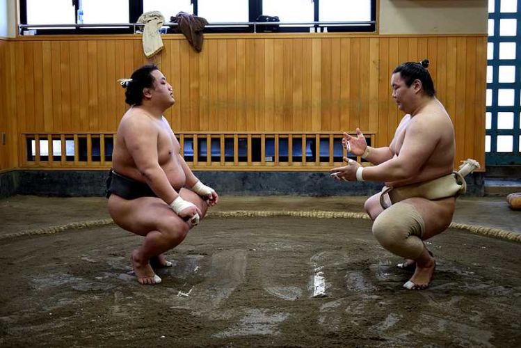 entrainement sumo Tokyo