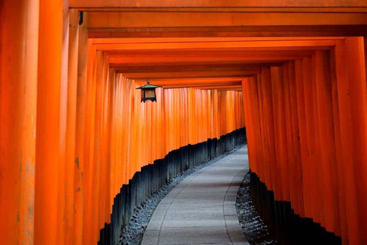 torii japon