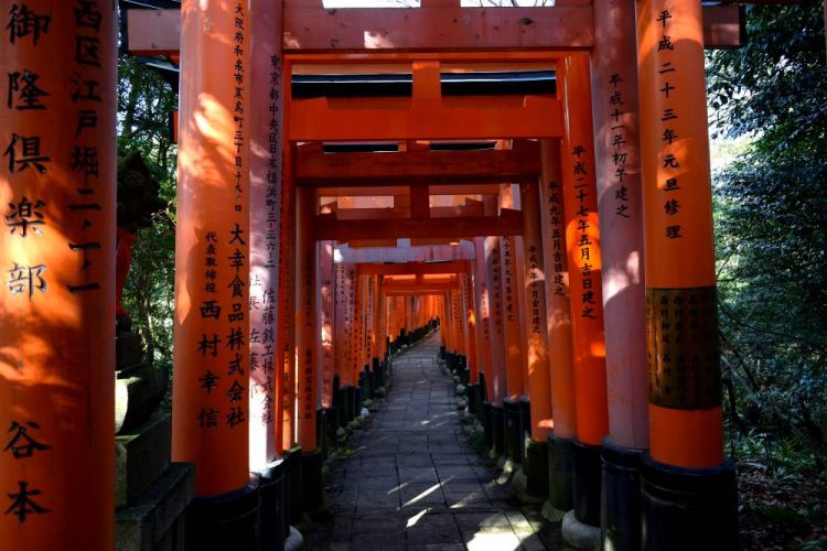 torii