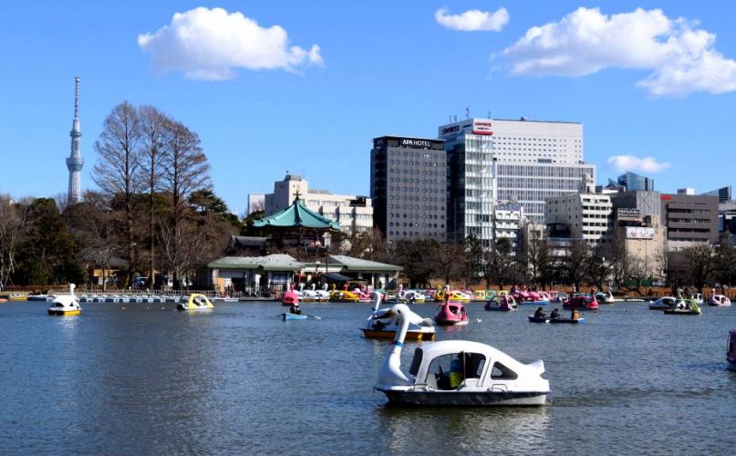 etang parc ueno