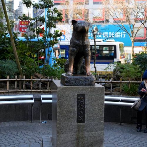 Hachiko shibuya