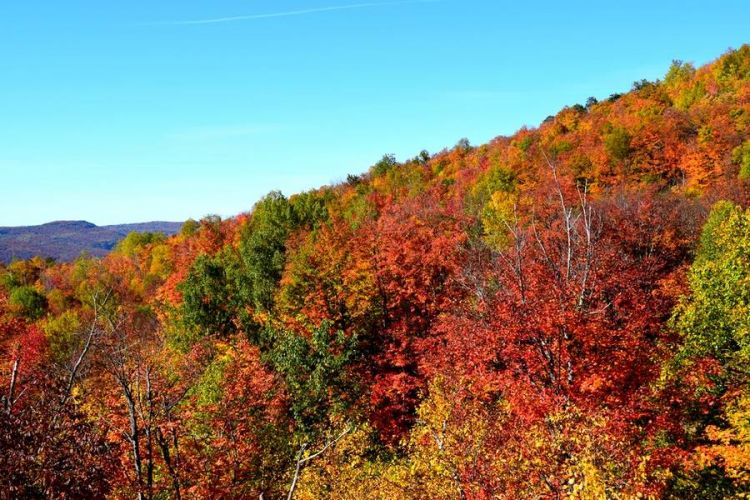 mont tremblant