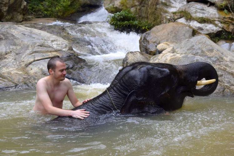 se baigner avec elephants