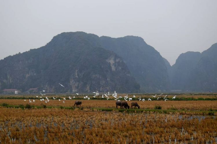 Ninh Binh