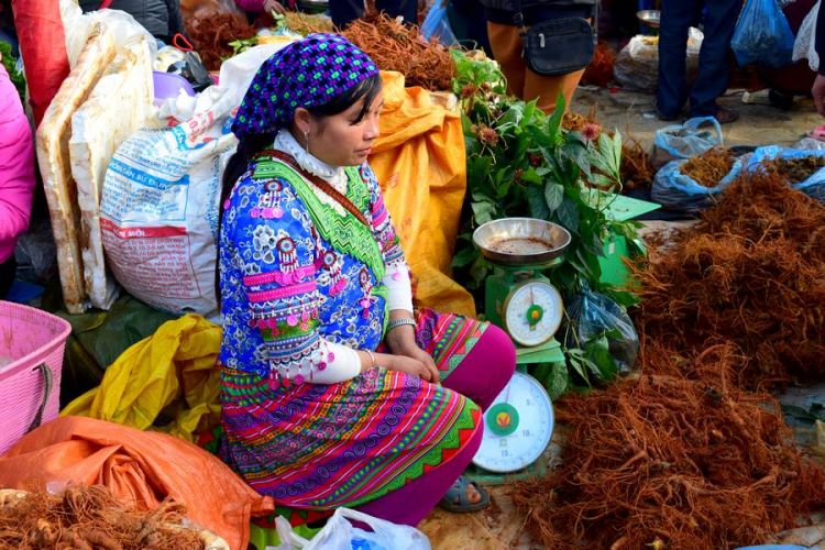 bac ha