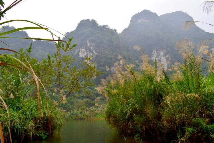 baie halong terrestre