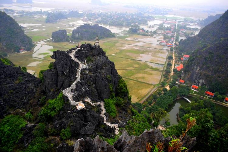 hang mua vietnam