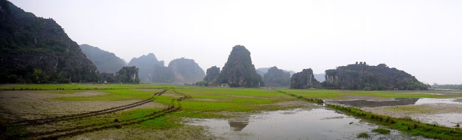 riziere vietnam